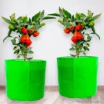 GLUN® Grow Bag 12 * 12 Inch Round Shape Grow Bags for Terrace and Balcony Gardening Growing Any Type of Plants (Herbs and Shrubs) (D)