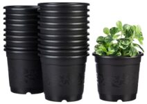 Amazon Brand – Solimo 100% Virgin Plastic Round Nursery Planter Pot | Indoor and Outdoor Flower Pot for Home/Office/Table/Garden/Balcony Decoration | 6 inch (Set of 20)