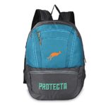 Protecta Paragon 33 L Backpack for Laptops Up to 15.6 Inch – Grey & Green