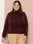 Sztori Solid Turtle Neck Casual Women Maroon Sweater