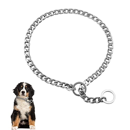 Dog Collar Slip Metal Strong Dog P Chain,Heavy Duty Chew Proof Adjustable Stainless Steel Chain Dog Collars for Small Medium Large Dogs (M)
