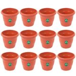 TrustBasket UV Treated Plastic Round Pot (6 Inches)-Terracotta Color -Set of 12 | Heavy Duty Highly Durable Plant Container Gamla for Indoor Home Decor & Outdoor Balcony Garden