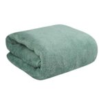 Fezora® Microfiber 500 GSM Bath Towels | (70×140) Extra Soft Plush & Quick Dry High Absorbency with Large Size Towels for Bathing (Pack of 1, Ferozi)