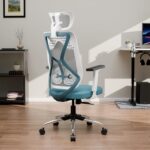 Green Soul®| Zodiac Superb | Office Chair | Flybird Ergonomic Design | Adjustable Armrests | Multi-Tilt Lock Mechanism | Adjustable Lumbar Support |Nylon Frame|No Seat Slider (White & Teal)