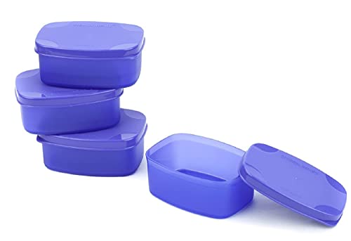 Signoraware Cute Plastic Container Set Of 4, Small Boxes For Storage And Carrying Food, Chutney Snacks Pickle Spice Powder, Food Grade Bpa Free, Microwave Safe (Set Of 4 – 100Ml Each Box , Violet)