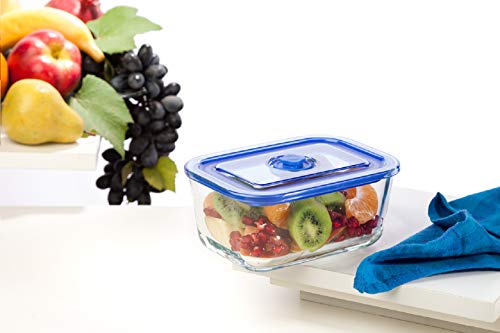 Signoraware High Borosilicate Bakeware Safe Glass Release Knob, 470 Ml, Transparent