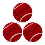 Cockatoo Rubber Cricket Tennis Ball, Construction Of Tennis Ball For Cricket For Optimal Performance,Suitable For All Skill Levels. (120 Gr Per Ball -Pack Of 3-Red)