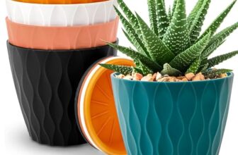 Eightiz Pack Of 5 Round Flower Pots For Home Planters, Terrace, Garden Etc | Multicolor | Suitable For Home Indoor & Outdoor Gardening Plants(Mix Colour)