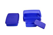 Signoraware Plastic Small Compact Lunch Box Set, 750Ml, Deep Violet, Set Of 2