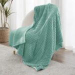 Bsb Home Pencil Pattern Flannel Fleece Sherpa Blanket 220 X 230 Cm, Soft, Plush, Fluffy Season/Ac And Mild Winter Reversible Blanket – Double Bed (Mint Green, Weight – 2.2 Kg), 300 Tc