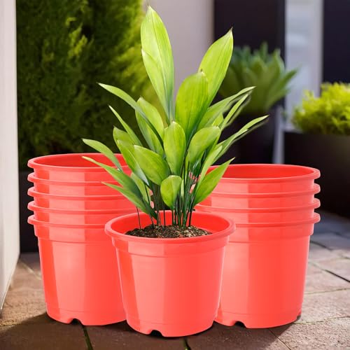 Heart Home(Pack Of 10) Flower Pot | Fuldani Flower Pot (8 Inch) Pots For Home, Terrace, Garden | Phooldaan For Home D�Cor | Synergy Indoor Plant Stand | Pots Stand For Plants | Red
