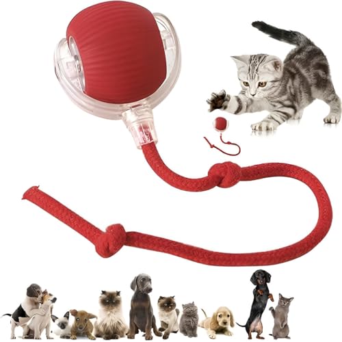 Zoompaws Ball | Smart Rolling Rechargeable Cat Toy – Automatic Self-Play Ball With Fast Tail Rope, Motion Sensor & Led Lights For Bored Indoor Cats & Kittens