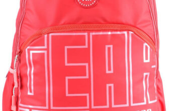 Gear Arise Backpack 40 L Backpack(Pink)