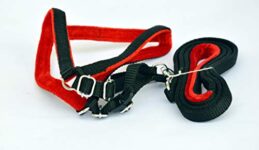 Dogista Pet Products Imported Mukhmal Harness Set 0.75 (Color May Vary) Small