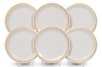 Ariya 11 Inches Melamine Dinner Plate Set Of 6 (Royal Double Stripe) Microwave & Dishwasher Safe Dinnerware, Full Serving Plate Set For Snacks, Breakfast, Lunch, Dinner, Break Resistant, All Occasions