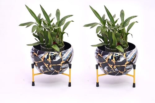 Amazon Brand – Solimo Tripod Stand | Set Of 2 | Flower Design | Iron | Black