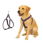 Petbabas Dog Harness No Pull With Front Clip | Dog Walking Chest Harness With Reflective Adjustable Soft Padded Vest And Easy Control Handle Sizes (Medium, Purple)