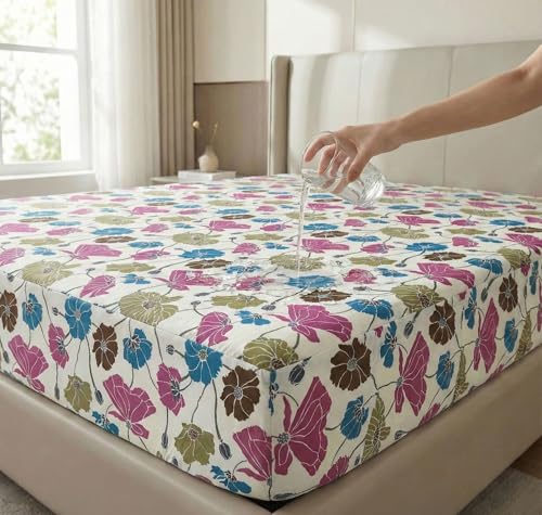 Signoraware Aqualene Vacuum Steel Cola Hot And Cold Bottle 1000Ml,Multicolour (1 Piece)