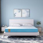 Springwel Easy Pureortho Balance Pro 6 Inch Small Single Size Mattress | 3 Zone Orthopedic Layer |Biorytmic Knitted Premium Fabric | Pure Orthopedic Mattresses| Anti Skid Fabric (Size- 78X36X6 Inches)