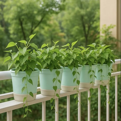 Women’S Honey Pink Bottoms Comfort Fit,Pink,30