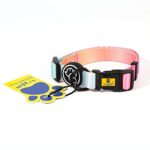 A+A Pets’ Skin Friendly Dog Collar (Pink/Blue, Small)