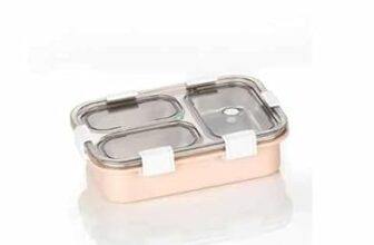 Vizsdeal Stainless Steel Lunch Box Bpa Free – Durable Food Storage Lunch Box For Office, School & Travel With Secure Lock Lid (Peach)