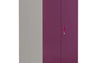 Interio By Godrej Slimline 2-Door Steel Almirah