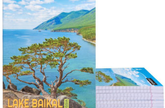 Classmate Longbook Regular Notebook Single Line 160 Pages(Multicolor, Pack Of 6)