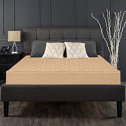 Lavie Sport Squad 31 L Laptop Backpack(Black)