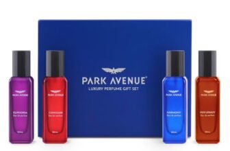 Park Avenue Luxury Perfume Gift Set For Men, 4X20 Ml | Euphoria, Conquer, Harmony & Oud Legacy | Eau De Parfum | Premium Luxury Perfume For Corporate Man | Perfume For Men Long Lasting Smell
